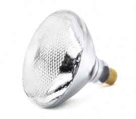 picture of halogen light bulbs